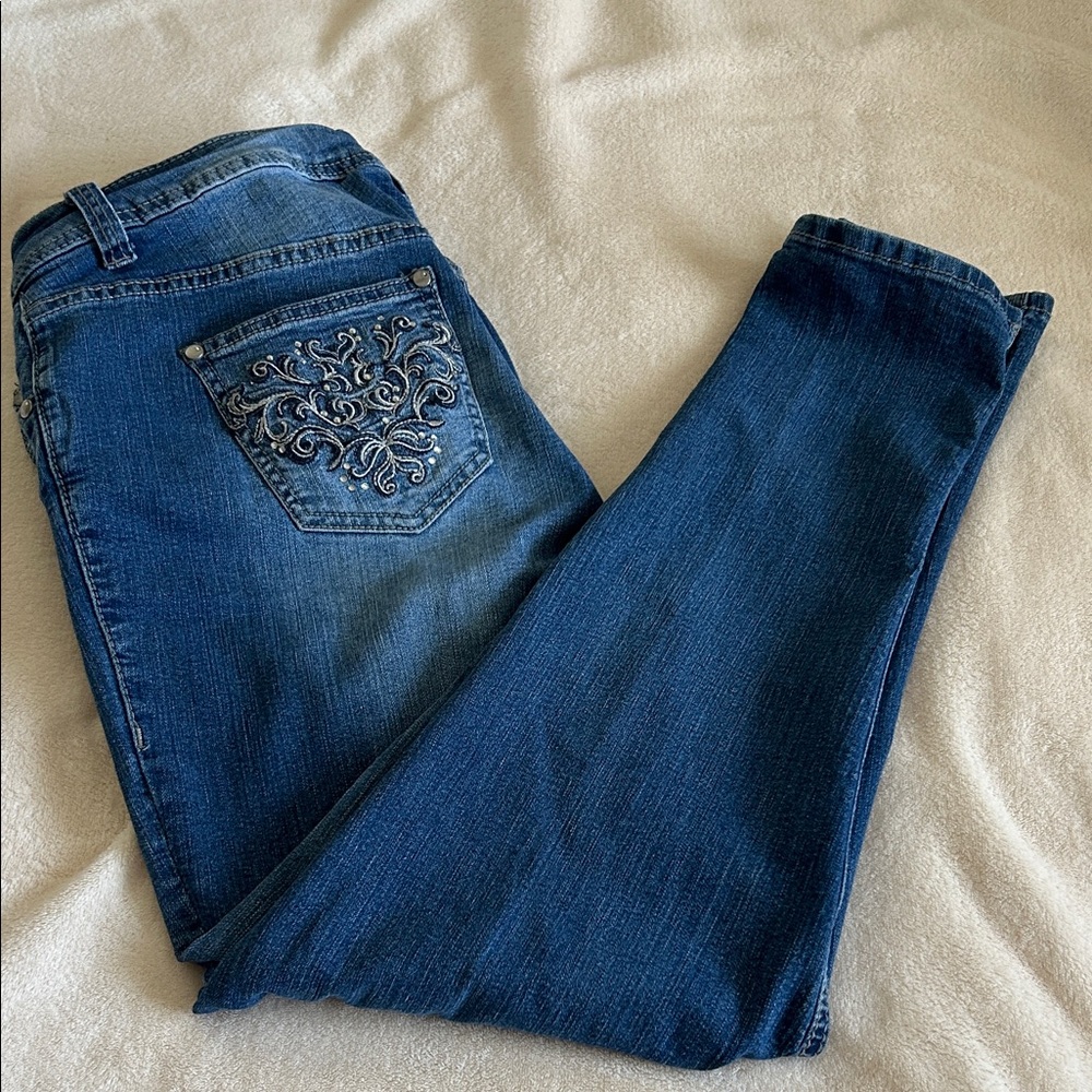 Lane Bryant Blue Embroidered Skinny Jeans